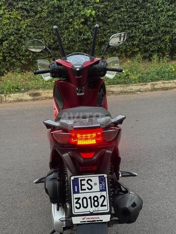 SH Honda Smart 150 Regl - 2