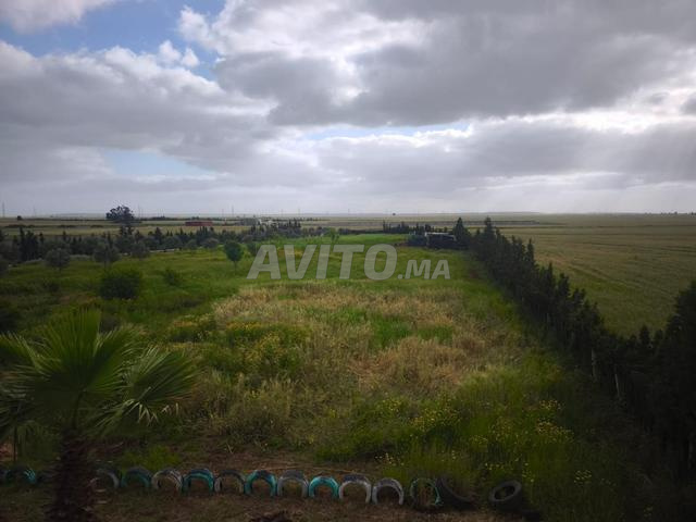 مزرعة للبيع على بعد ساعة من الدار البيضاء - 2