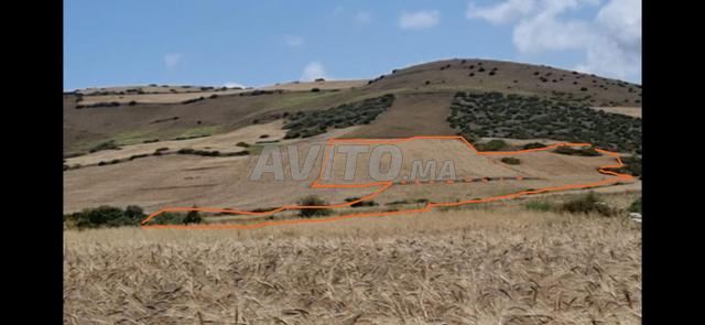 أرض محفظة مع رخصة بناء للبيع - 2