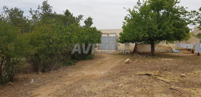 أرض-مزرعة للإيجار - 2