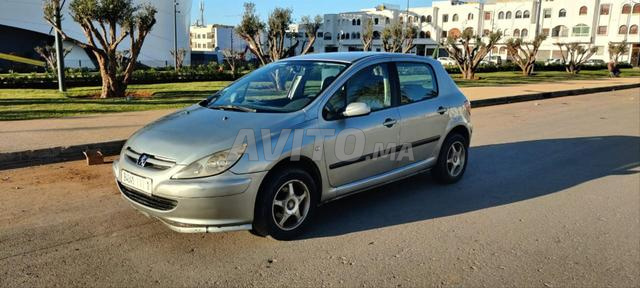 Peugeot 307 carte grise