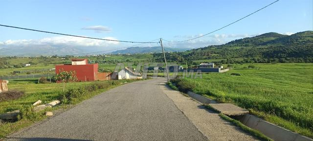 Opportunité immobilière - 2