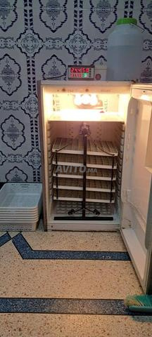 Incubateur d'œufs - 2
