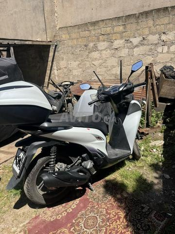 SH 125 سي سي 2025 - 2