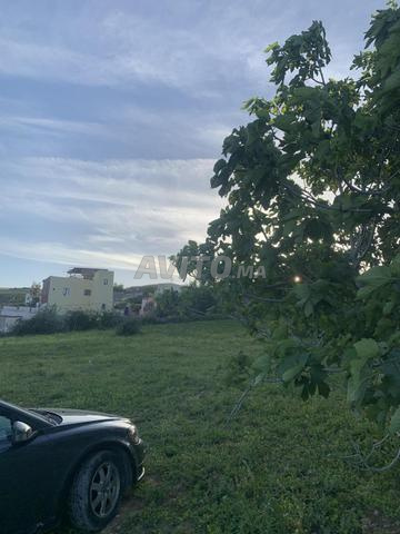 Terrain titré à 1km de Fès médina - 2