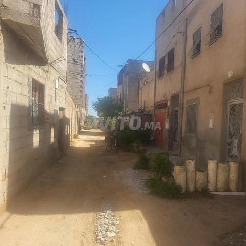 Terrain 100m Sidi Ahmed Eddaoui - 2