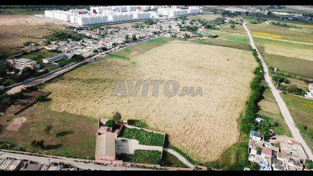 Terrain 10.5 Hectare - 2