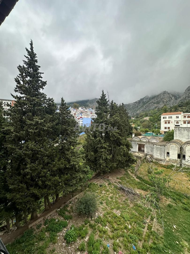 Appartements à louer pour seulement 200 dirhams au centre de Chefchaouen - image 3