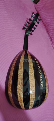 Oud professionnel hotte gamme - 2