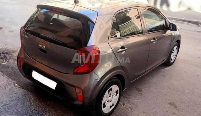 بيكانتو المالك الأول 2022 فردي - 2