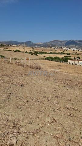 Terrain à vendre à Khmiss Anjra