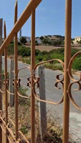 Terrain à vendre à Khmiss Anjra - 2