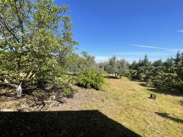 Ferme de luxe avec 3 villas près de Meknès à 7 km