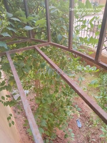 حي النسيم تجزئة مخلوف