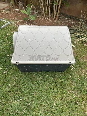 Niche pour chien - 2