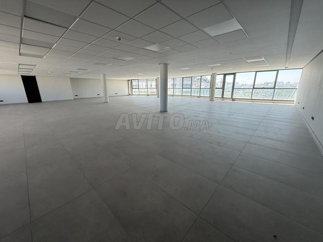 Plateaux bureaux anfa casa 200/250/260/300m2 - 2