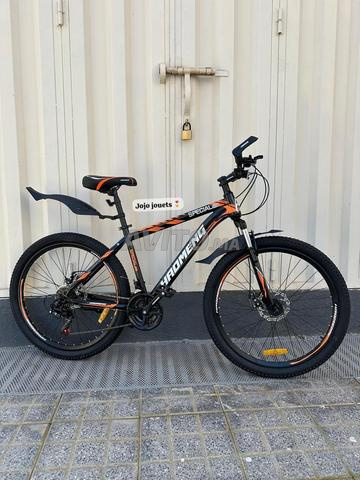 Vélo pour adultes - 2