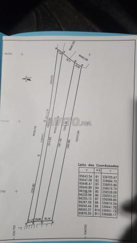 فرصة عقارية 5 هكتار أرض فلاحية محفظة - 2