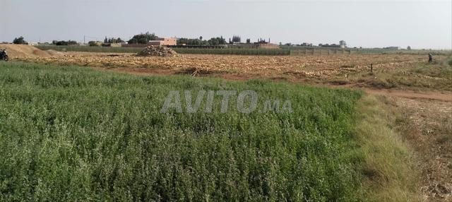 Terrain à vendre, superficie 5292 - 2