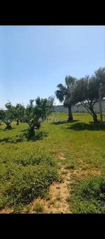 Ferme à vendre titrée - 2