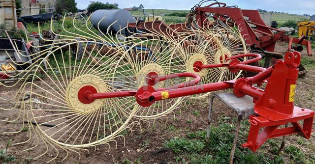 rato nouveau d'Italie 🇮🇹 - 2