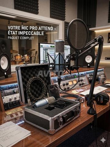 🎤 ميكروفون AKG Perception 220 للبيع - 2