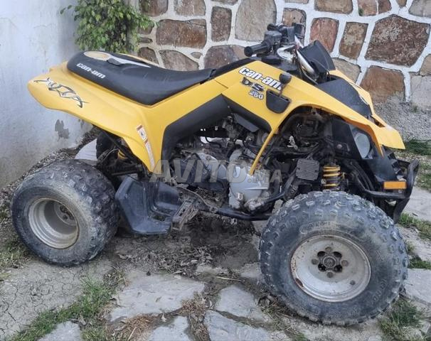 Quad Can-Am DS 250 - 2