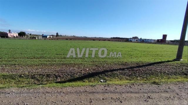 أراضٍ فلاحية محفظة للسكن والاستثمار بسيدي رحال - 2