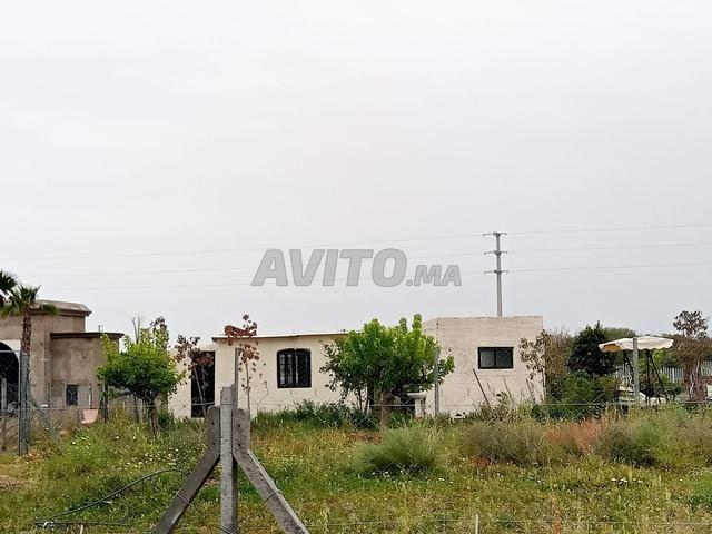 Pavillon meublé vue Atlas | Jardin 3500 m² - 2