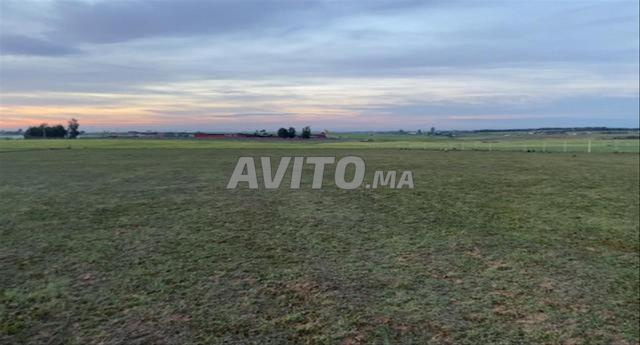 أراضٍ فلاحية محفظة البئر الجديد للسكن والاستثمار