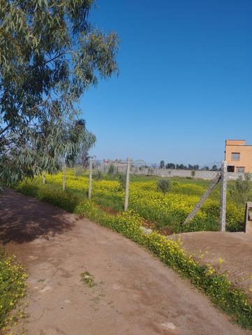 أرض للبيع في نواحي مراكش أيت أورير - 2