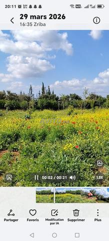 أرض خلف المدرسة - 2