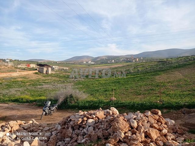 أرض ملكية - 2