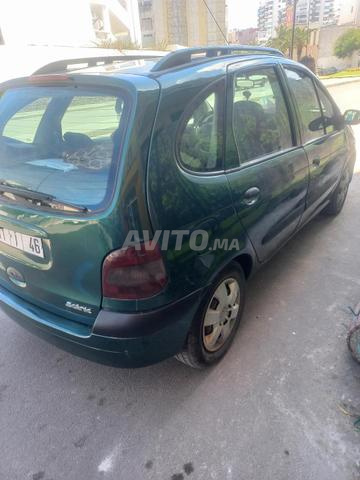 رينو سينيك للبيع