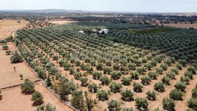 فيلا مزرعة للبيع - 2