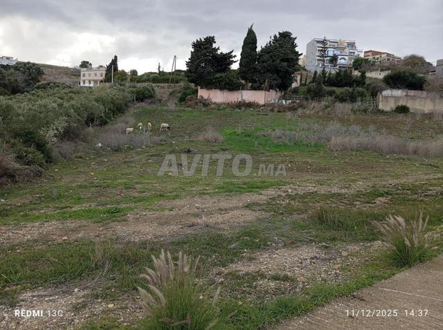 أرض 619 متر مربع قرب طنجة ميد 2 القصر الصغير