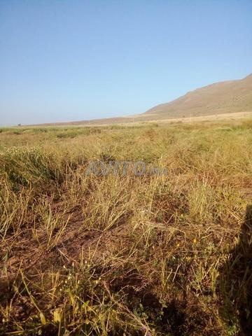 أرض بعقد بنكرير - 2