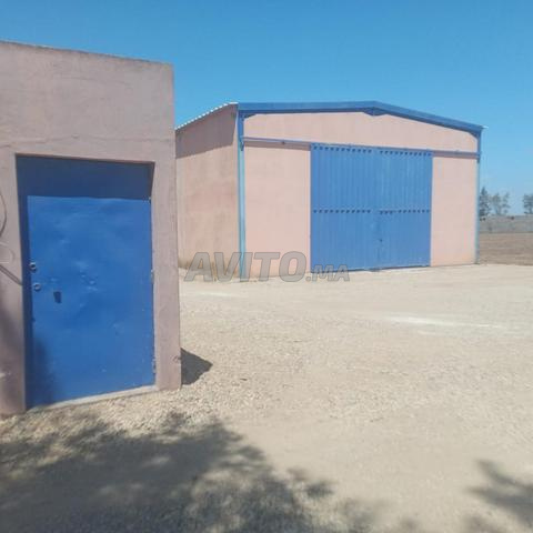 مزرعة للبيع في برشيد - 2