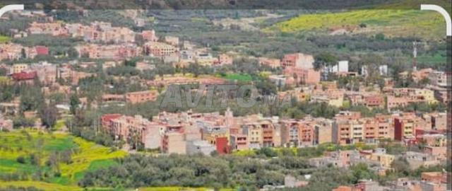 Terrain à vendre deux hectares - 2