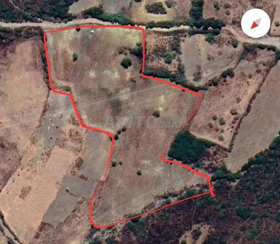 أرض فلاحية للبيع بمنطقة ملوسة