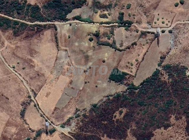 أرض فلاحية للبيع بمنطقة ملوسة - 2