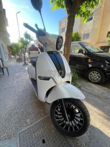 كابتشينو إس 2025 - 2