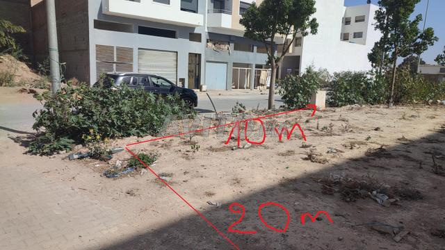 أرض للبيع – بوسكورة (مشروع الأوكاليبتوس) - 2