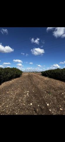 Terrain, vide à louer - 2