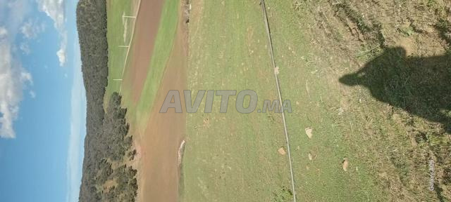Terrain agricole équipé à vendre, superficie deux hectares - 2