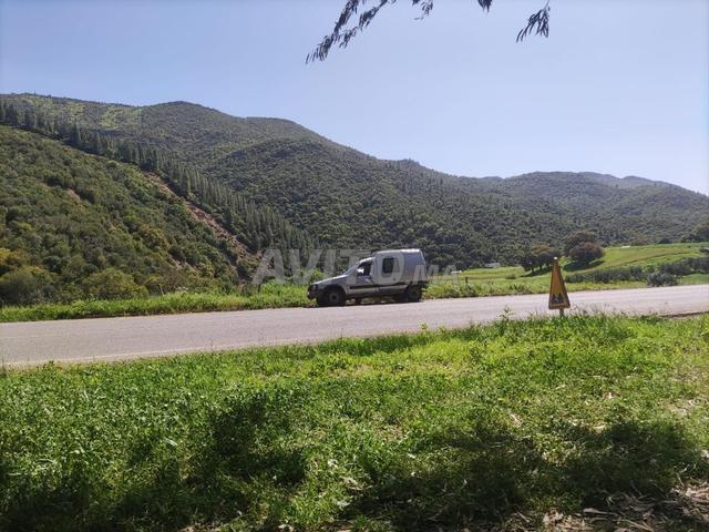 Belle Caddy pour le travail - 2