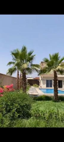 فيلا للبيع 1000 متر مربع - 2