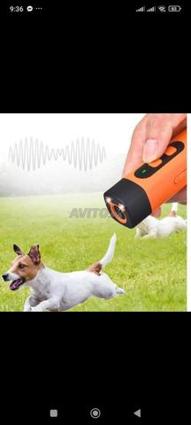 Appareil répulsif pour chiens - 2