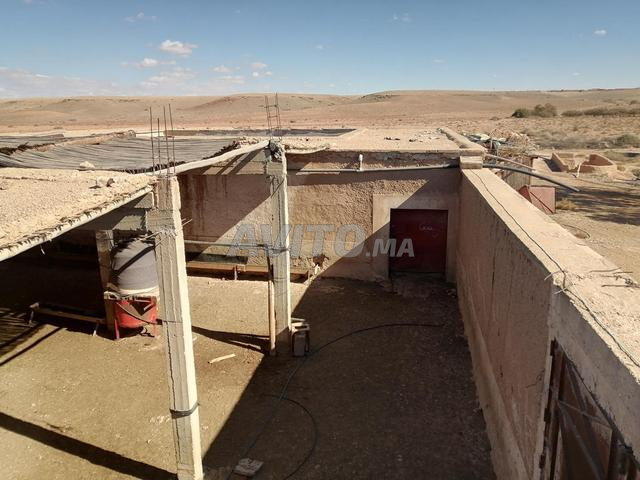 مزرعة بلاد البير - 2