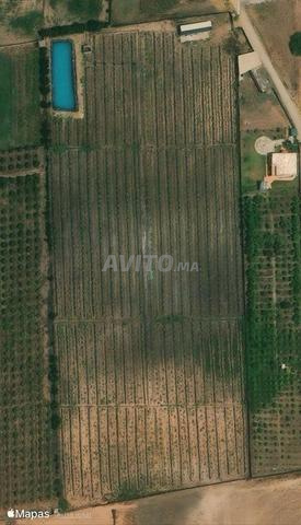 Ferme à vendre Oulad Bourahma - 2